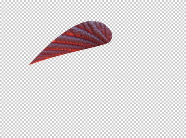 Creation of Fairy: Step 1